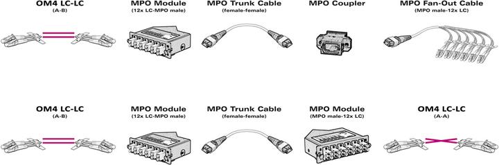 Produktbild Value MPO-Fanout Kabel OM4 MPO/12xLC 2m (CAT6, 2 m)