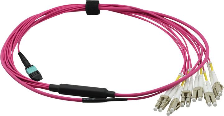 Produktbild Value MPO-Fanout Kabel OM4 MPO/12xLC 2m (CAT6, 2 m)