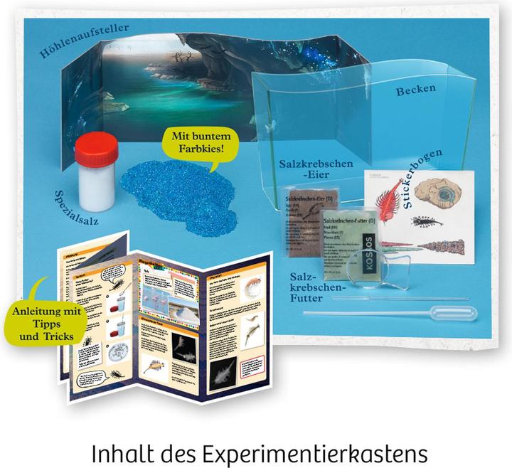 Image du produit Kosmos FunScience Crabes salés grouillants
