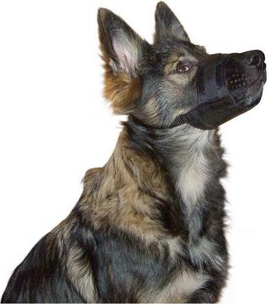 Produktbild Kerbl Maulkorb (XL, Hund, Hundesport)