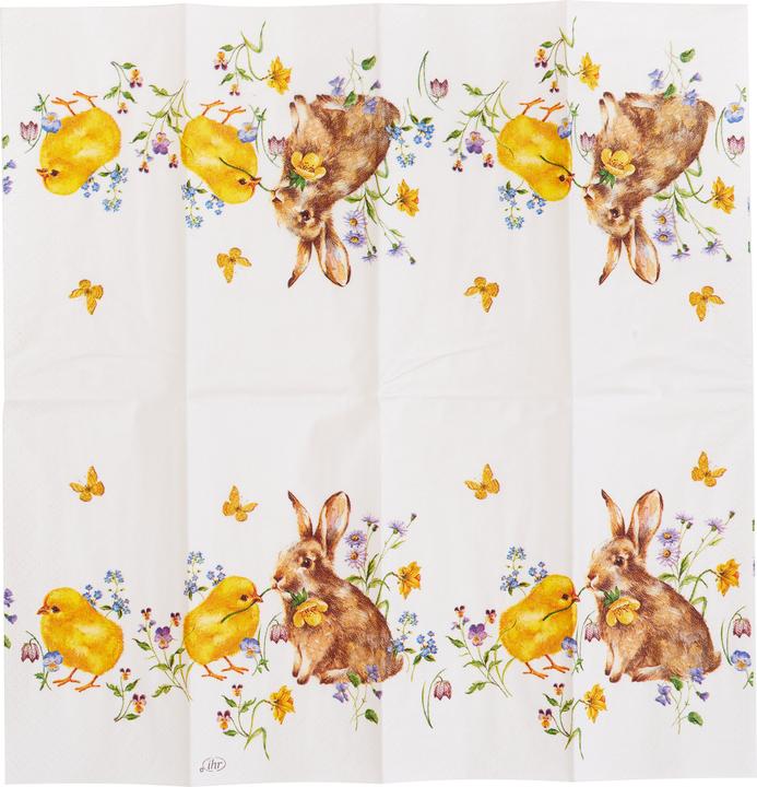 Produktbild IHR Taschentücher BUNNY AND CHICK