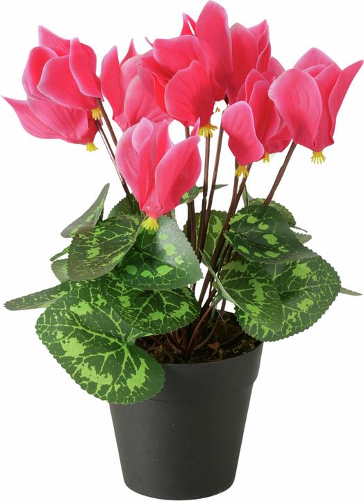 Boltze Home Potted plant (27 cm)