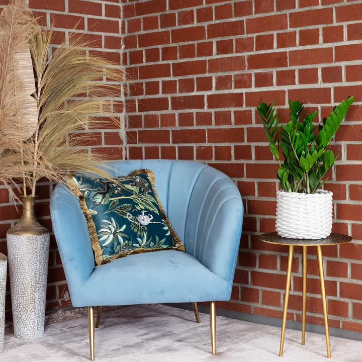 Immagine prodotto Flowerbox Piuma fortunata - Zamioculcas zamiifolia (55 cm)