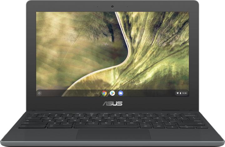 ASUS Chromebook C204MA (11.60", Intel Celeron N4020, 4 GB, CH)