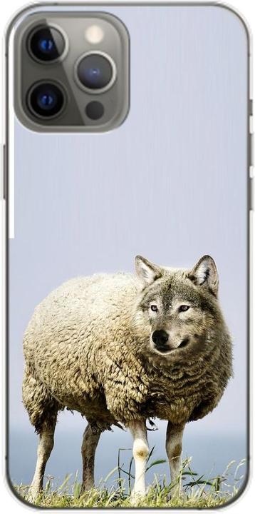Wolf im Schafspelz