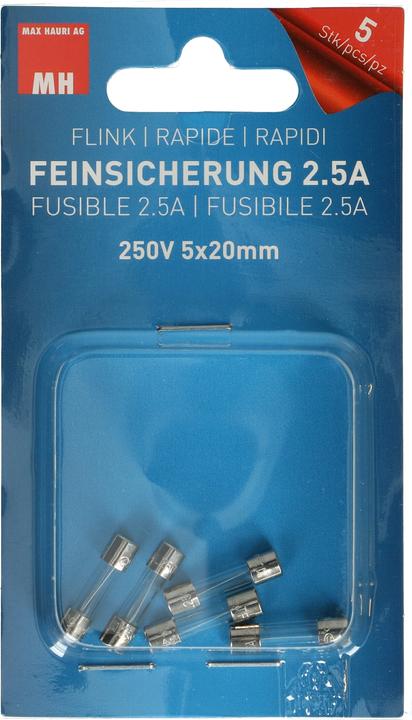 Produktbild Max Hauri Feinsicherung (Feinsicherung, 2.50 A, Flink)