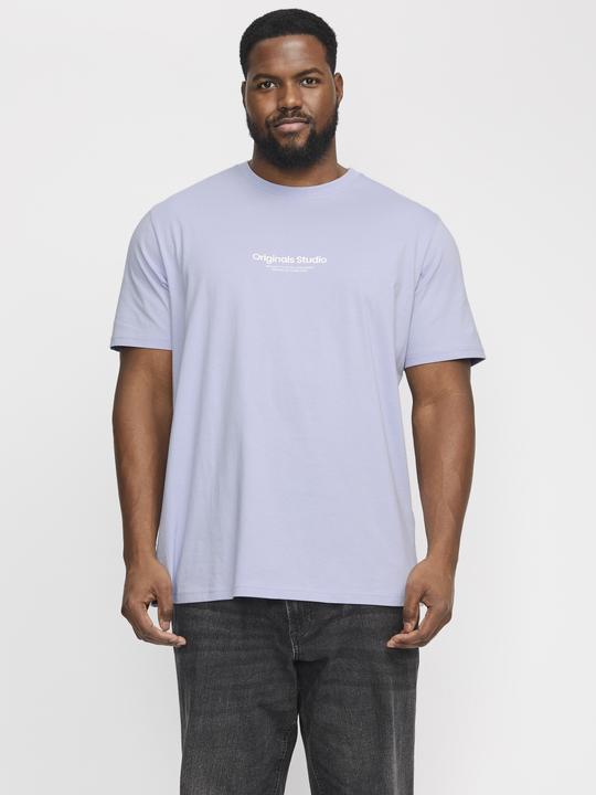 Produktbild Jack & Jones Jorvesterbro Tee Ss Crew Neck Noos Pls (7XL)