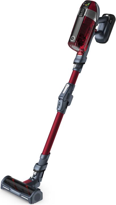 Produktbild Rowenta X-Force Flex 11.60 Animal