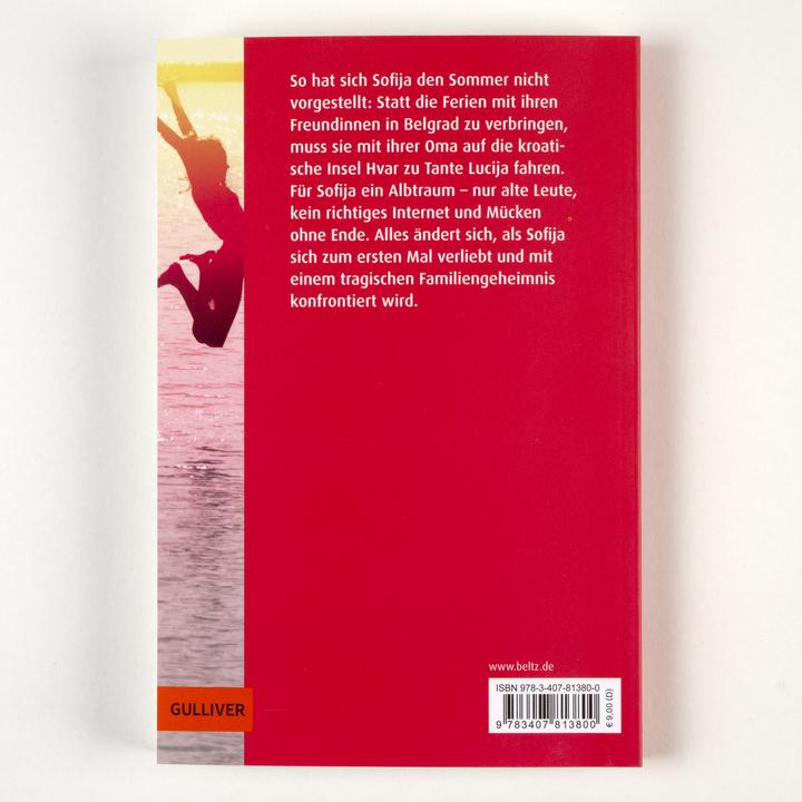 Produktbild Der Sommer, als ich fliegen lernte (Deutsch, Cornelia Niere, Marie Alpermann, Jasminka Petrovic, 2025)