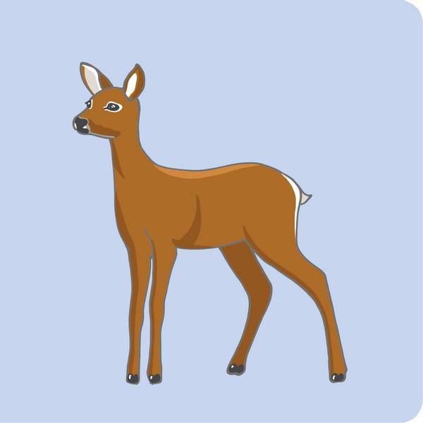 Produktbild 's erstes Baby-Bilderbuch ab 6 Monaten - Tiere (Deutsch)