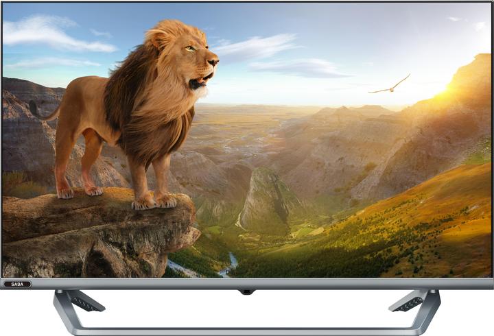 Saba SA32B46 TV 81.3 cm (32') HD Grey (32", LED, HD ready)