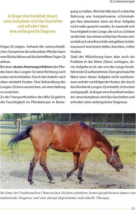 Produktbild Akupunktur beim Pferd (Deutsch, Ina Gösmeier, 2022)