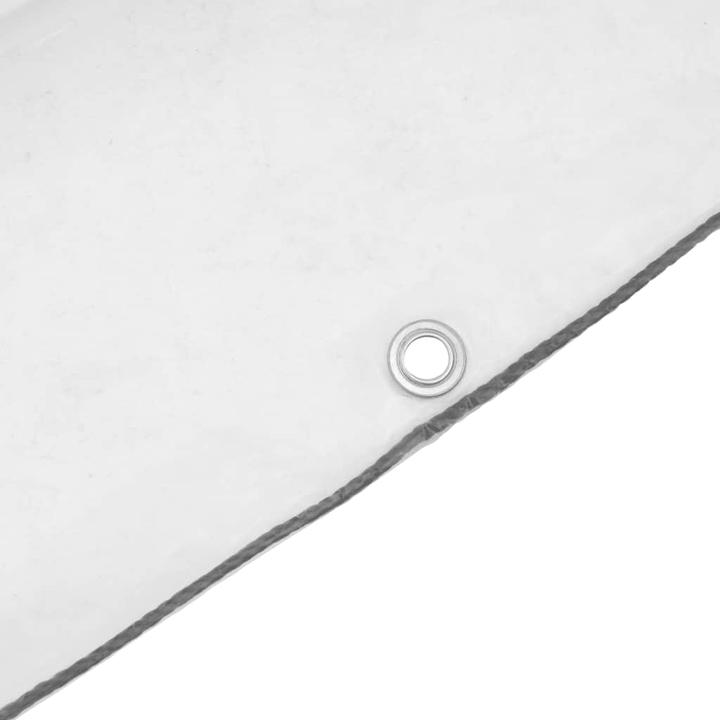 Immagine prodotto VidaXL Telone trasparente con occhielli (400 x 500 cm)