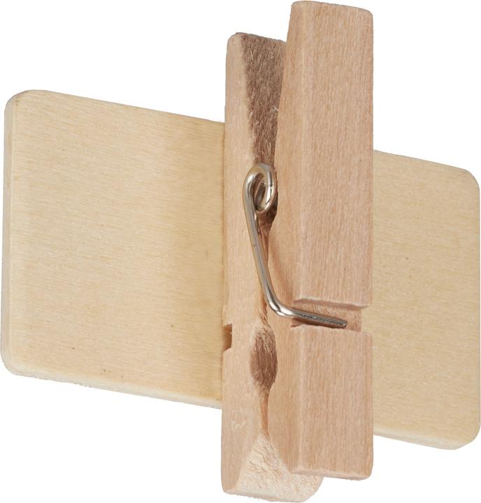 Actual product image Relaxdays Plant Label Clips, Pack of 48 (1.50 cm, 4 cm)
