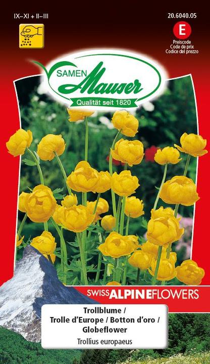 Samen Mauser Fiore di troll (Semi di fiori)