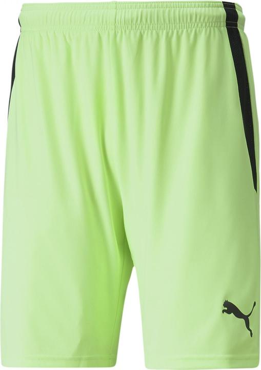 Actual product image Puma teamLIGA Shorts-704924 (M)