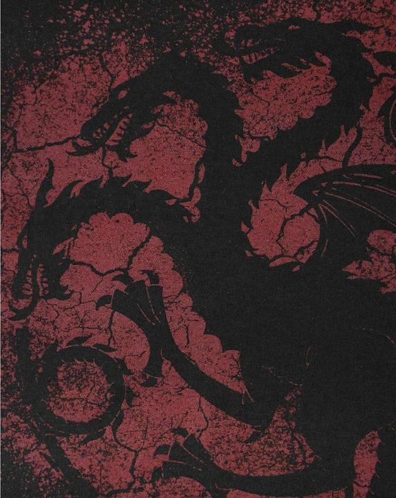 Actual product image Game of Thrones UTNS5235 P (XXL)