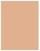Produktbild Wet n Wild ML Incognito All Day Conceal 1111904E (Medium Neutral)