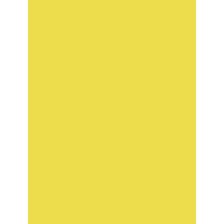 DAA281
