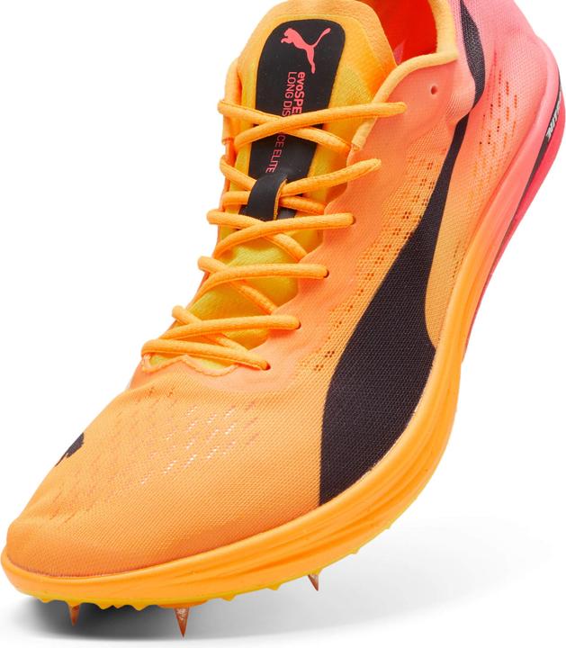 Produktbild Puma evoSPEED Long Distance Nitro Elite 2 (41)