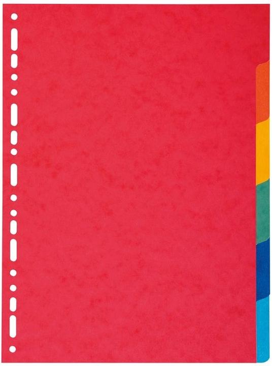 Image du produit Exacompta Intercalaires vierges - carton