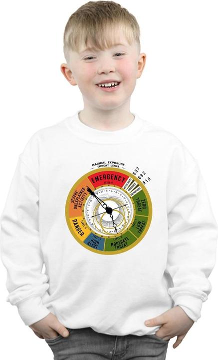 Image du produit Fantastic Beasts - Sweat THREAT LEVEL - Garçon (152, 158)