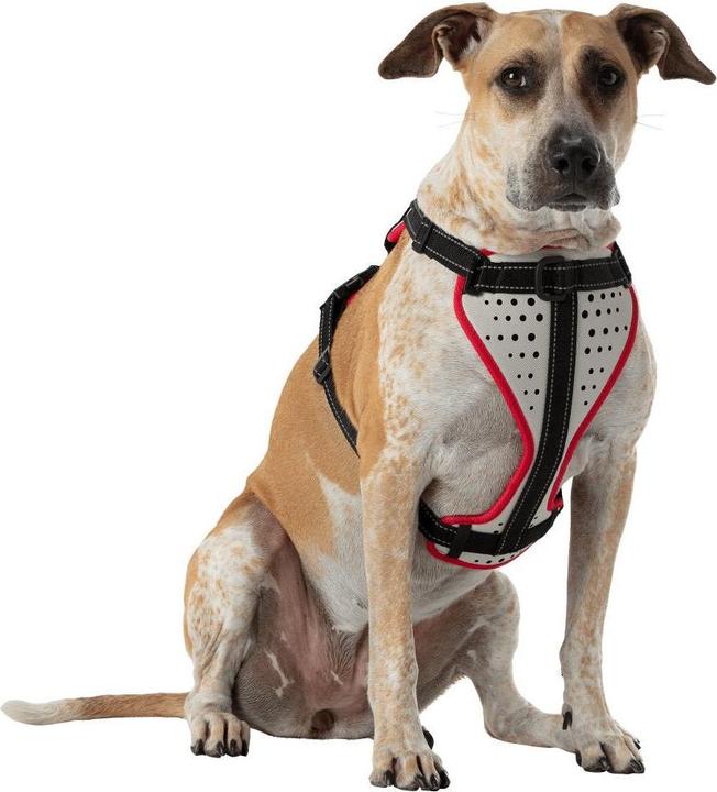 Produktbild Nathan K9 Reflective Dog Harness (L, Hund, Allgemein)
