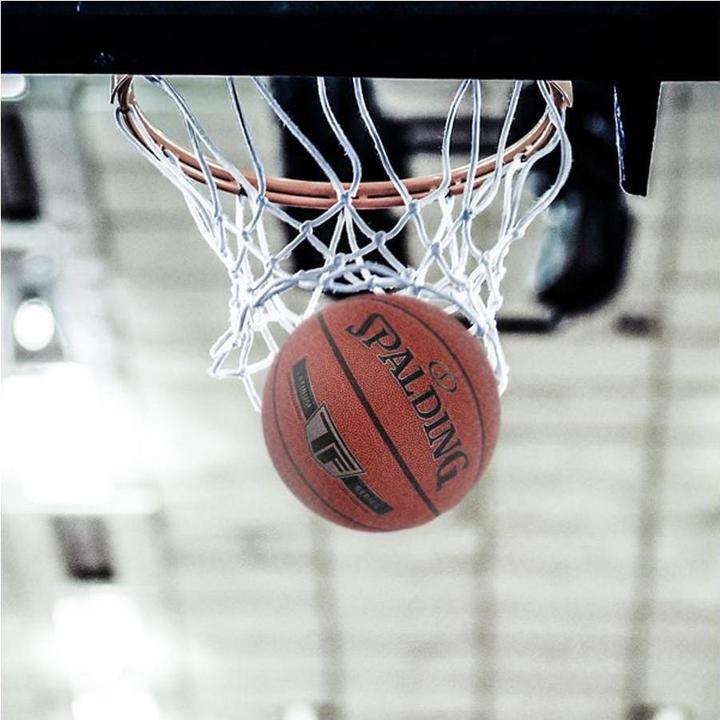 Actual product image Spalding TF Gold