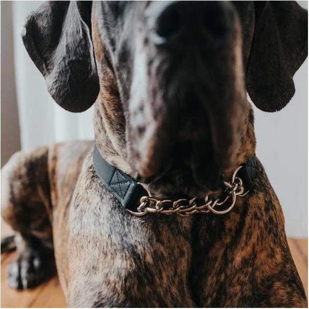 Produktbild Hunter Halsung mit Kette Aalborg (45, Hund)