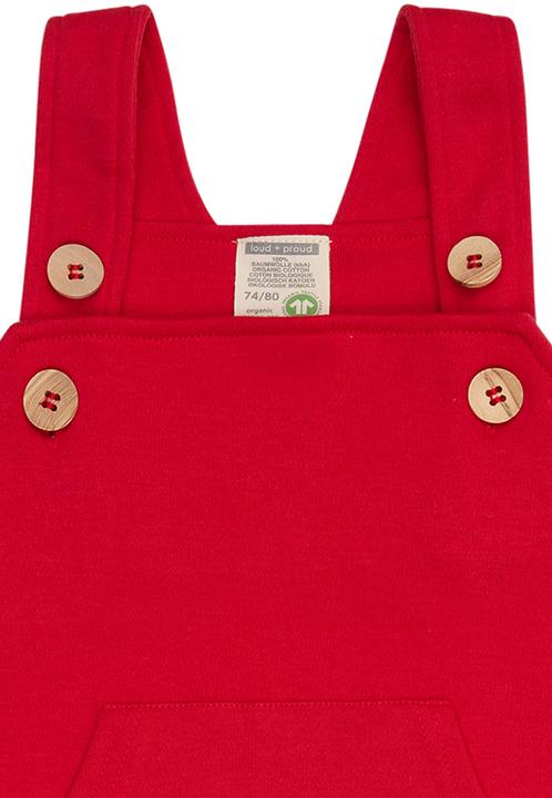 Actual product image loud + proud Dungarees (62)