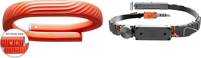 Jawbone UP 24 Large