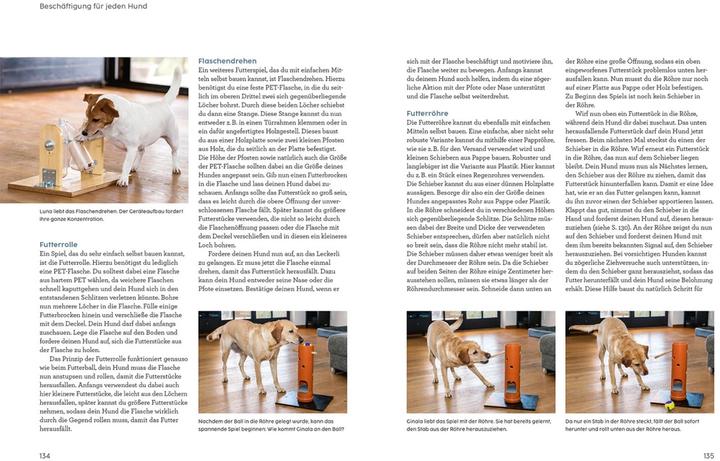 Actual product image Kosmos Hunde beschäftigen mit Martin Rütter (German, Martin Rütter, Andrea Buisman, 2022)