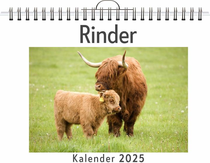 Flip flop Rinder - (Wandkalender 2025, Kalender DIN A4 quer, Monatskalender im Querformat mit Kalendarium