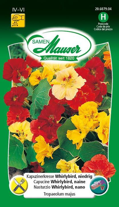Actual product image Samen Mauser Nasturtium Whirlybird, low (Herb seeds)