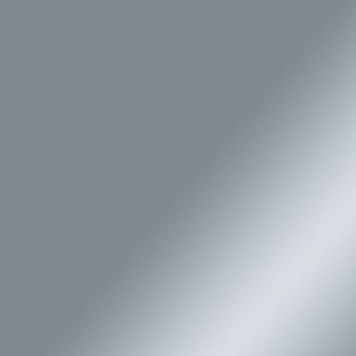 Actual product image Cricut Vinyl film Joy 13.9 cm x 121.9 cm Permanent, Silver