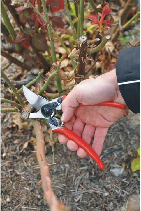 Actual product image Felco Garden shears 11