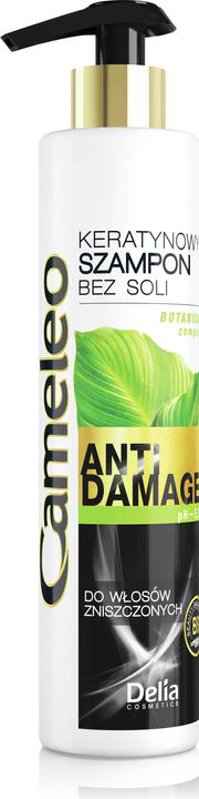 Actual product image Delia Cosmetics Cameleo BB (250 ml, Liquid shampoo)