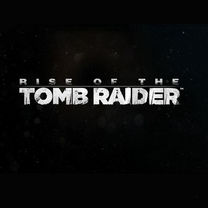 Actual product image Square Enix Rise of the Tomb Raider (PS4, DE)