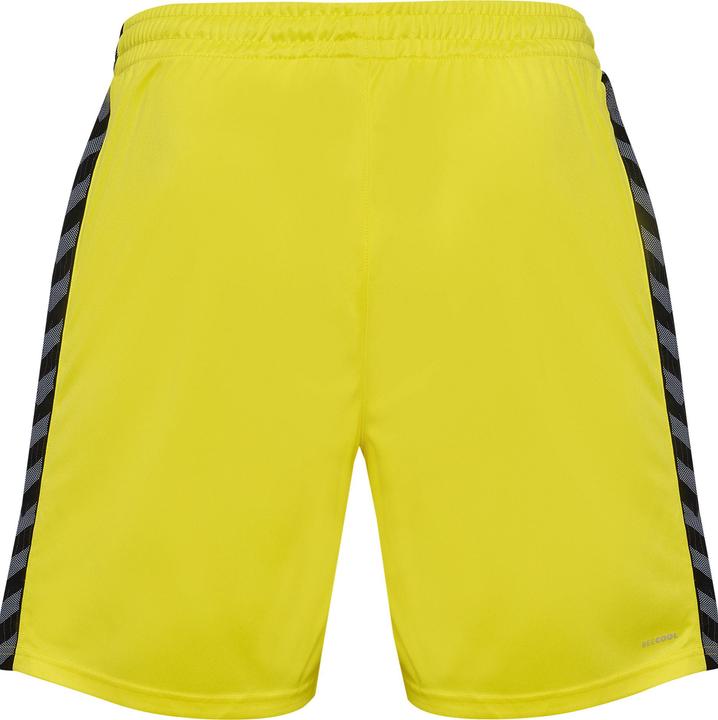 Actual product image hummel Hmlauthentic Pl Shorts (S)
