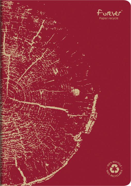 Actual product image Calligaphe Premium booklet (A4, Checked)