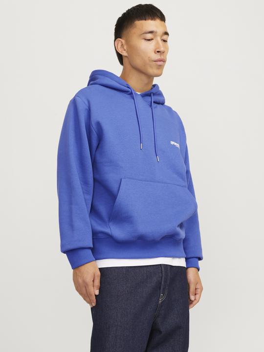 Produktbild Jack & Jones Jcounion Print Sweat Hood Noos (L)
