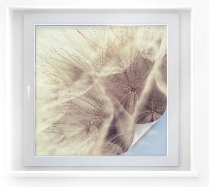 Produktbild Trenddeko Pusteblume Close up (50 x 50 cm)
