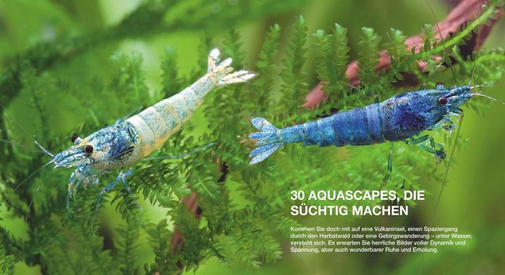 Actual product image Aquascaping (German, Chris Lukhaup, 2013)
