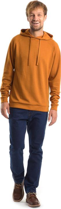 Actual product image Stoic Merino260 MMXX.Göteborg Hoody (S)