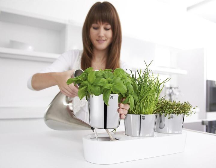 Actual product image WMF herb garden (14 cm)