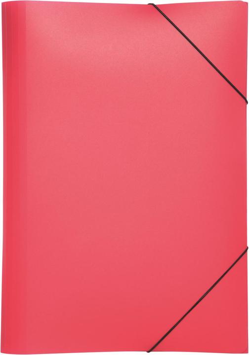 Actual product image Pagna Rubber band folder (A4, 1 x)
