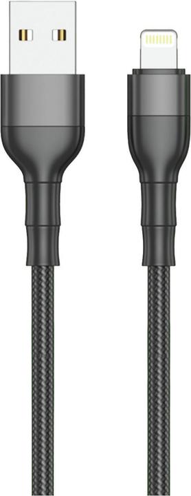 Image du produit 2GO 797305 Câble USB B Lightning (1 m)