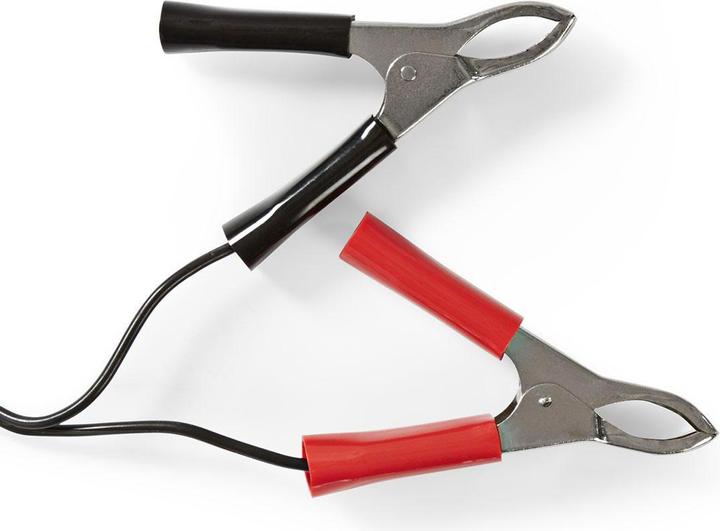 Produktbild Nedis Bleiakkuladegerät - 2/6/12 V - Vollautomatisches Ladegerät - Spannungswahlschalter - Verpolu (1 Stk., Ladegerät ohne Akku)