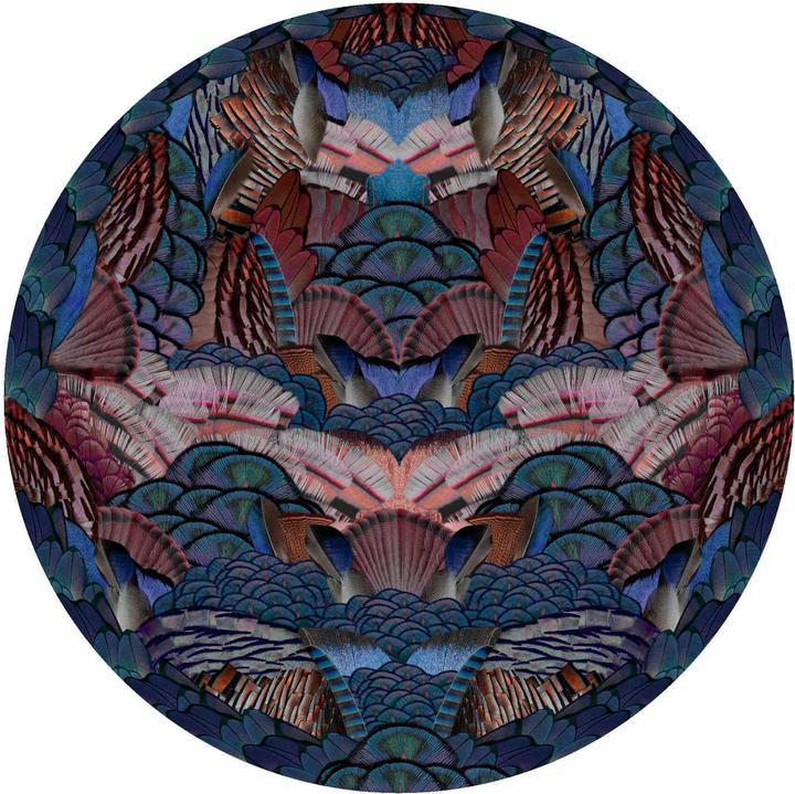 Actual product image Moooi Calligraphy Bird carpet (250 x 250 cm)