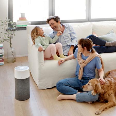 Actual product image Blueair Air purifier (17 m²)